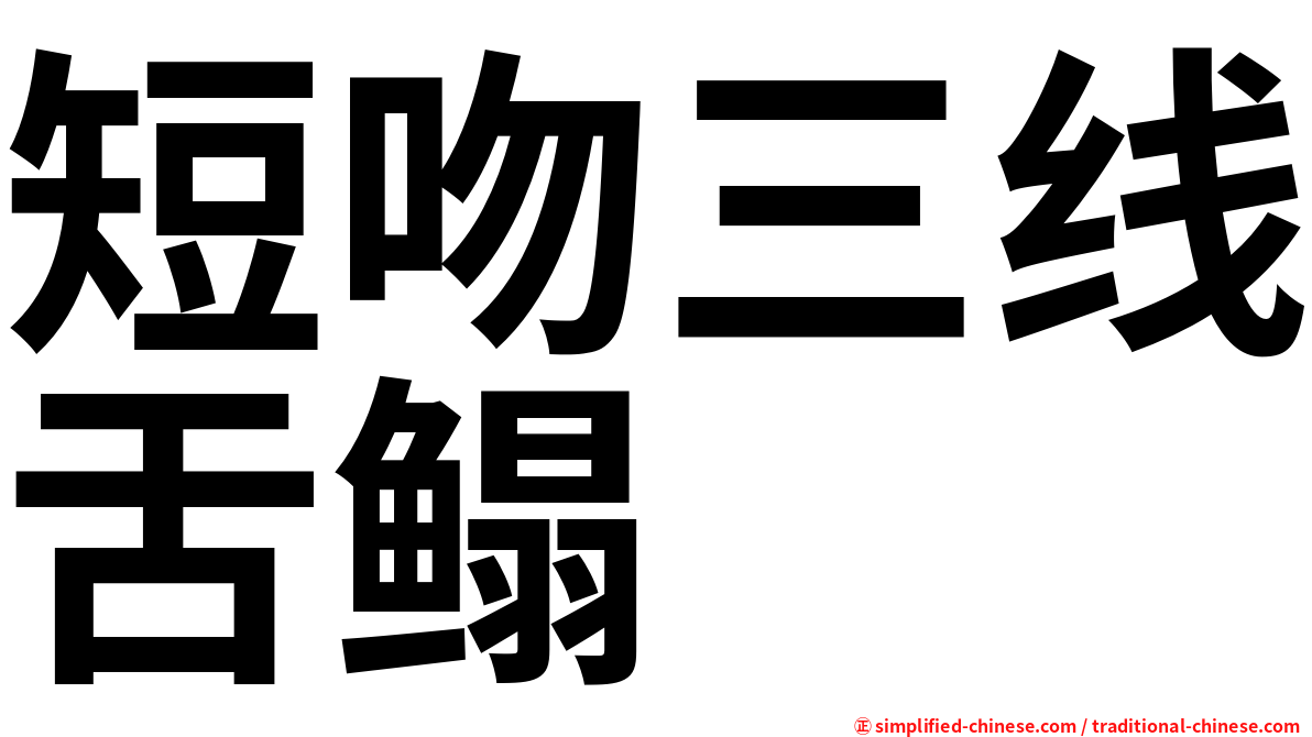 短吻三线舌鳎