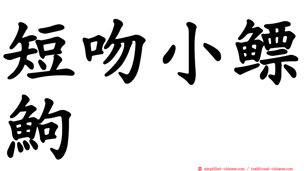 短吻小鳔𬶋