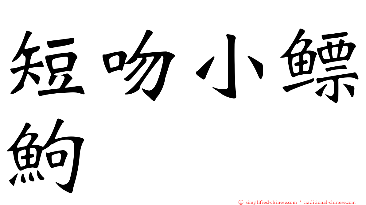 短吻小鳔𬶋