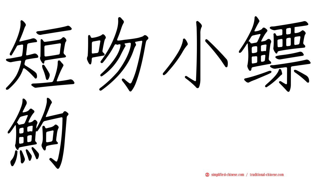 短吻小鳔𬶋