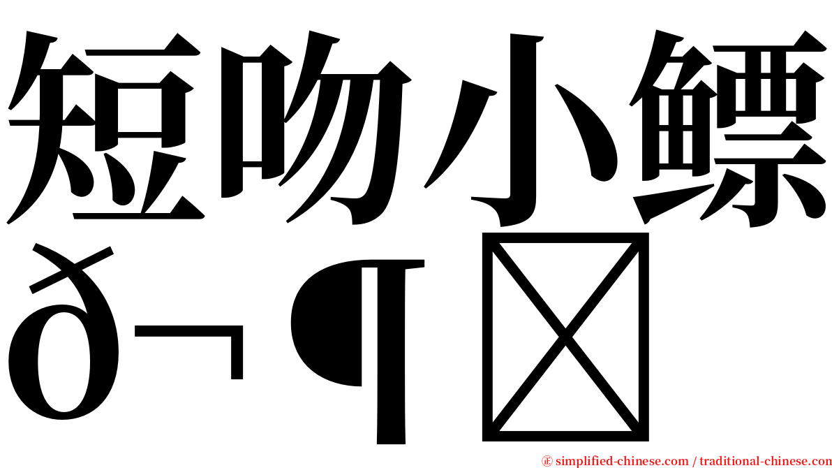 短吻小鳔𬶋 serif font