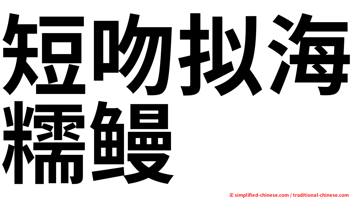 短吻拟海糯鳗