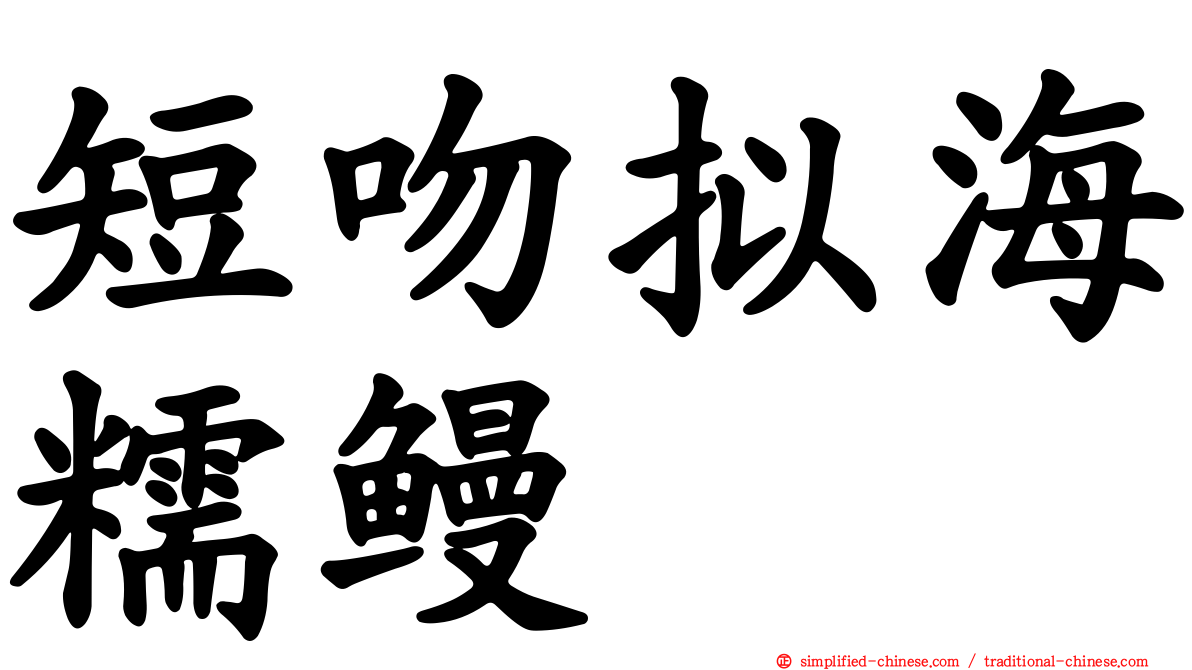 短吻拟海糯鳗