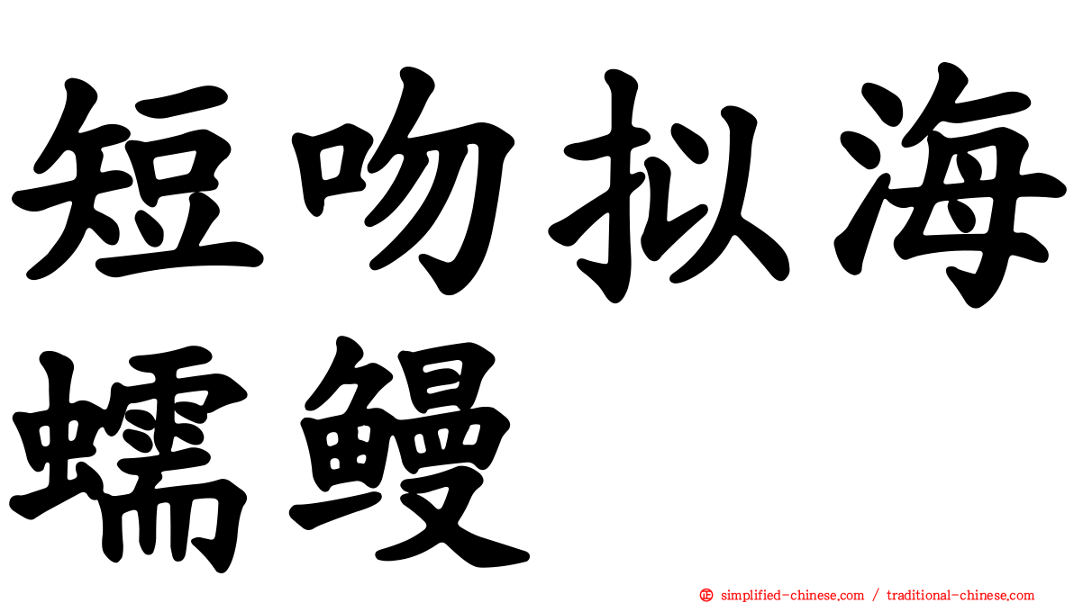 短吻拟海蠕鳗