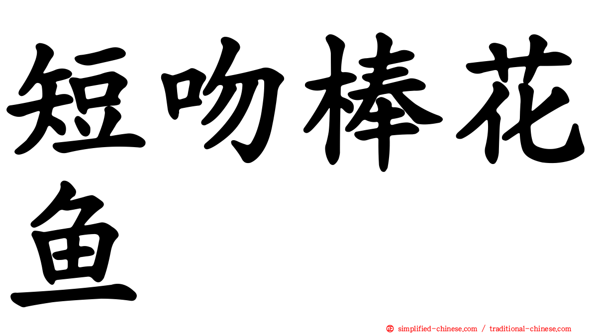 短吻棒花鱼