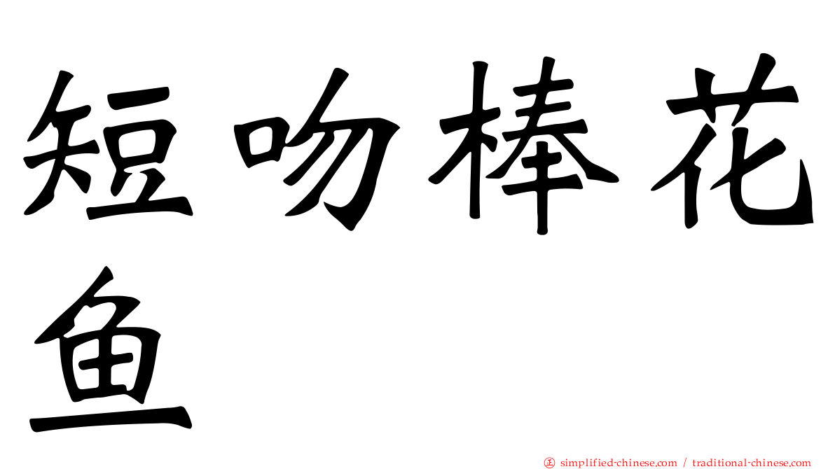 短吻棒花鱼