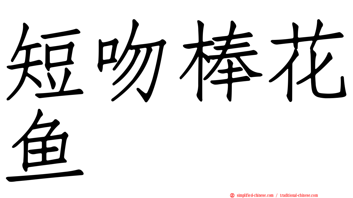 短吻棒花鱼