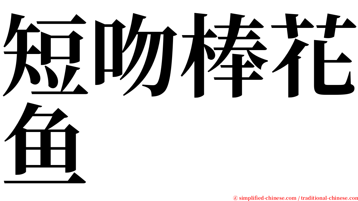 短吻棒花鱼 serif font