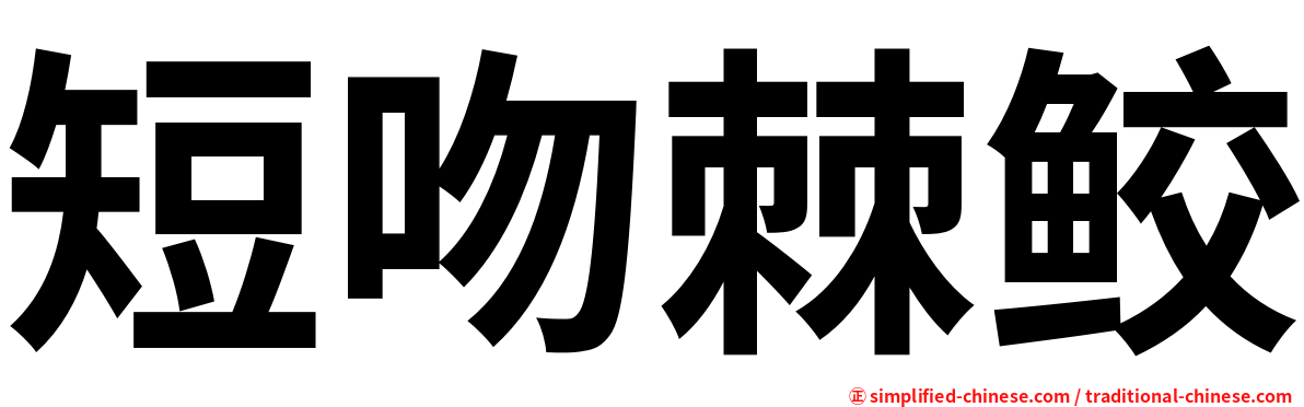 短吻棘鲛