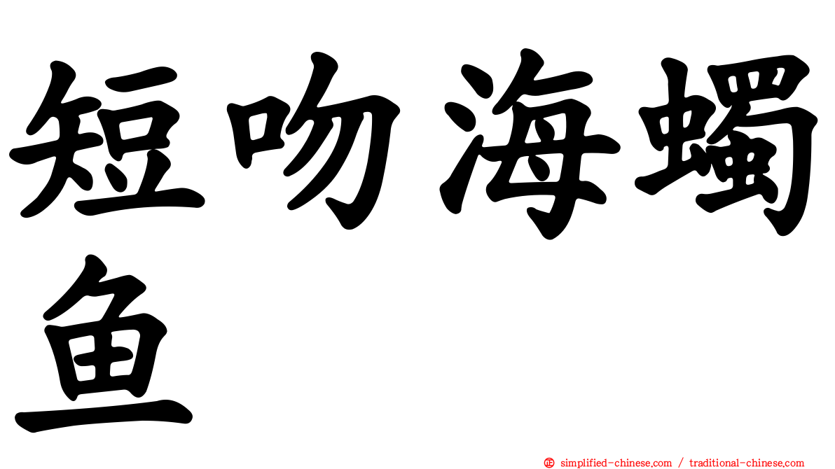短吻海蠋鱼