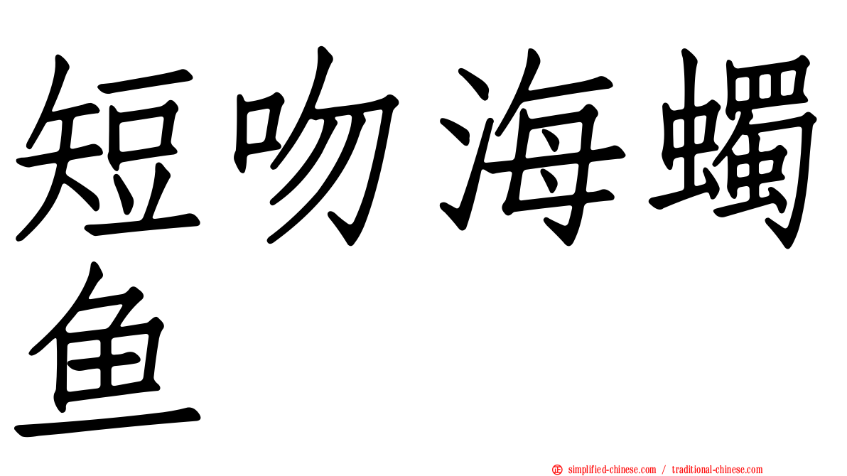 短吻海蠋鱼