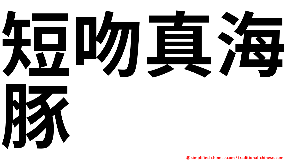 短吻真海豚