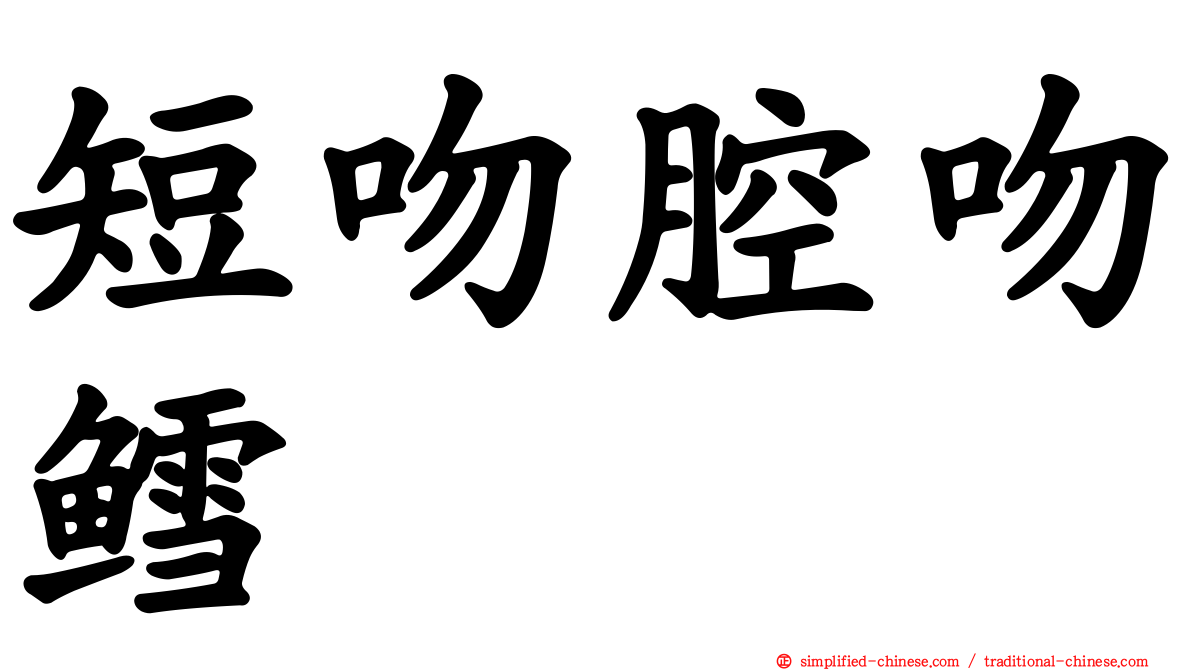 短吻腔吻鳕