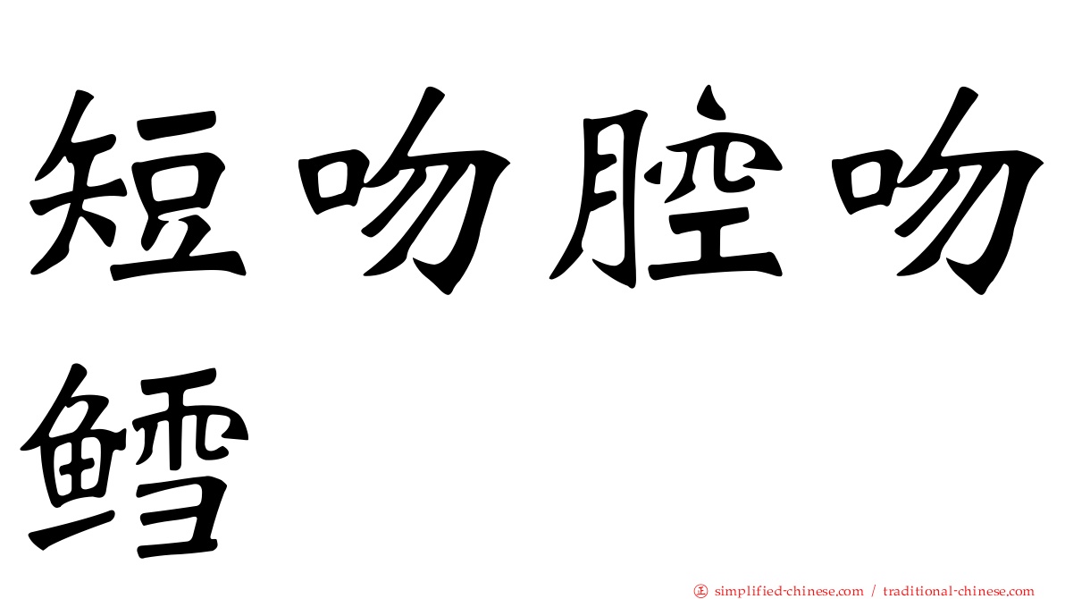 短吻腔吻鳕