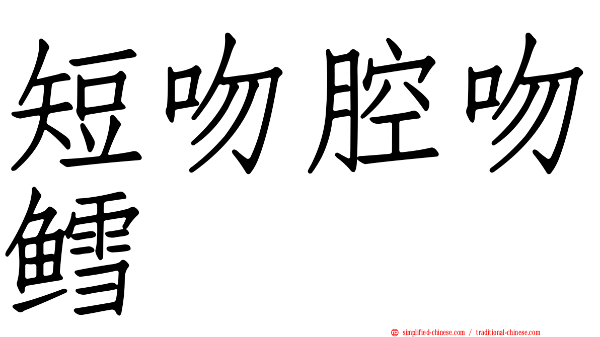 短吻腔吻鳕