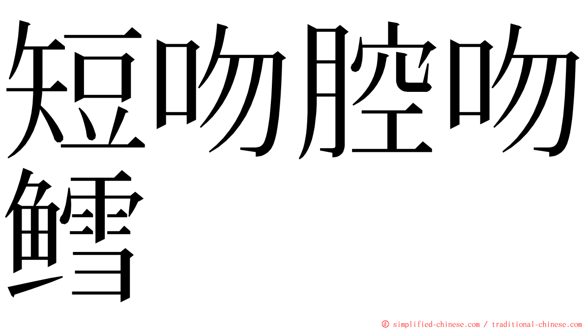 短吻腔吻鳕 ming font
