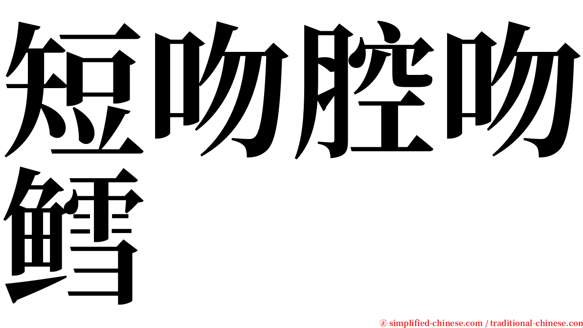 短吻腔吻鳕 serif font