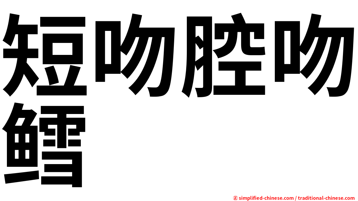 短吻腔吻鳕