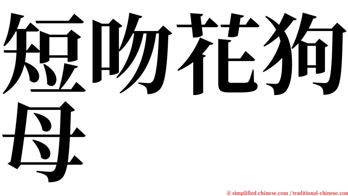 短吻花狗母 serif font