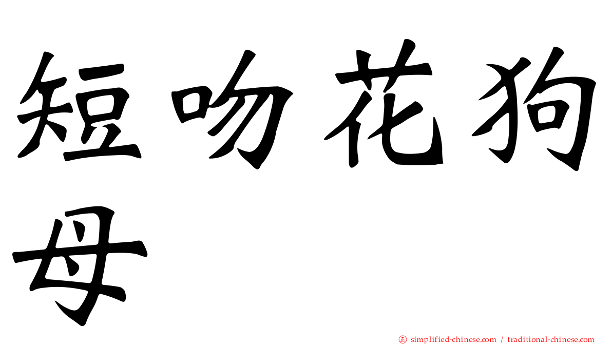 短吻花狗母