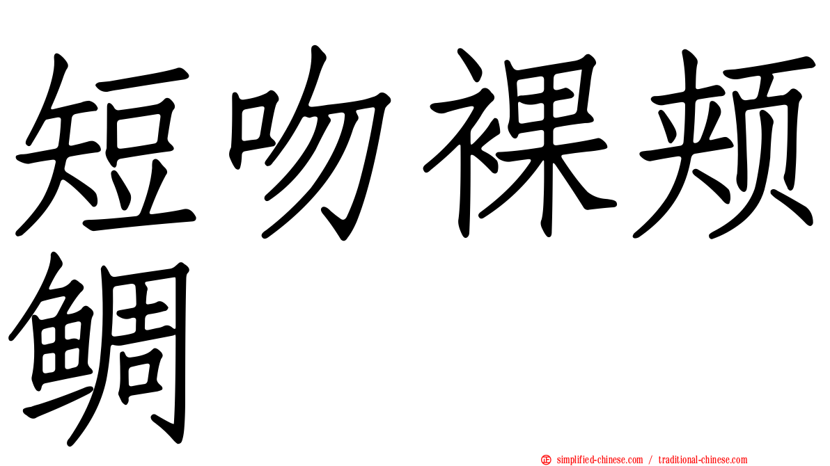 短吻裸颊鲷