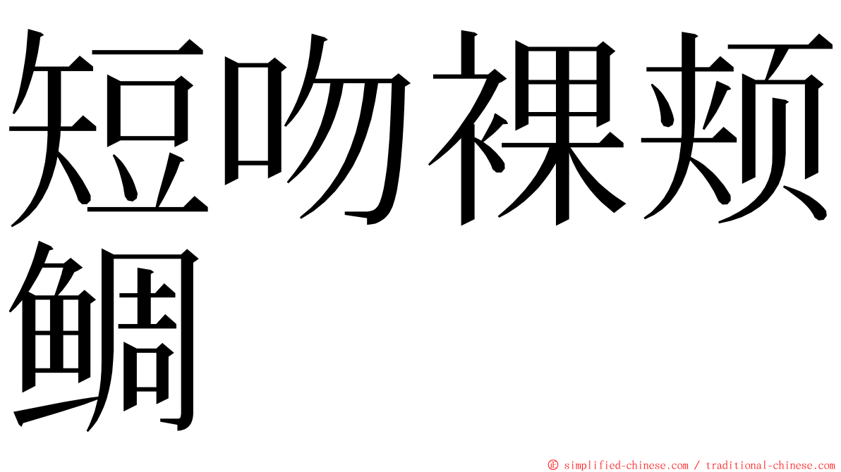 短吻裸颊鲷 ming font