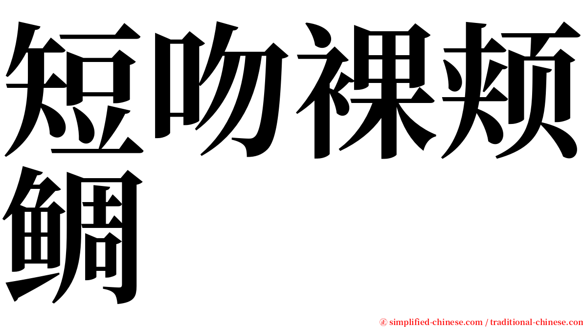 短吻裸颊鲷 serif font