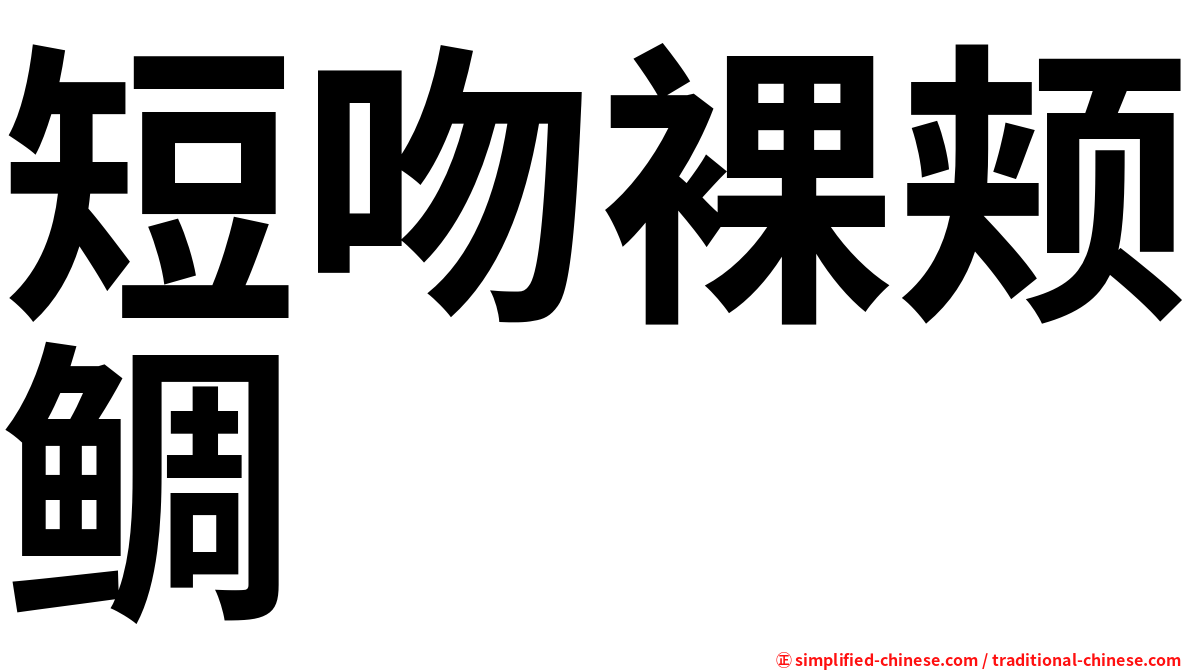 短吻裸颊鲷