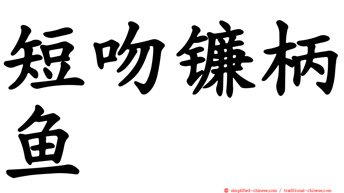 短吻镰柄鱼