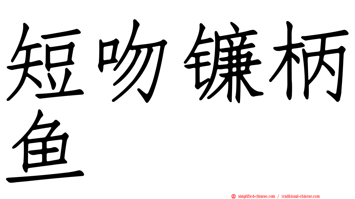 短吻镰柄鱼