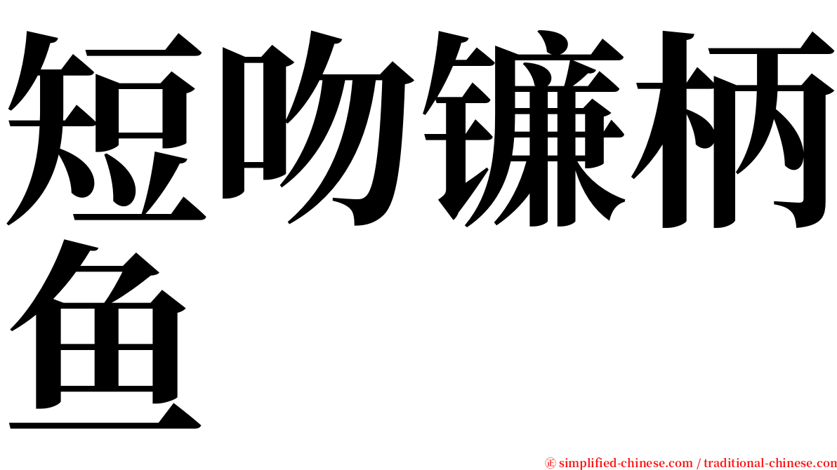 短吻镰柄鱼 serif font