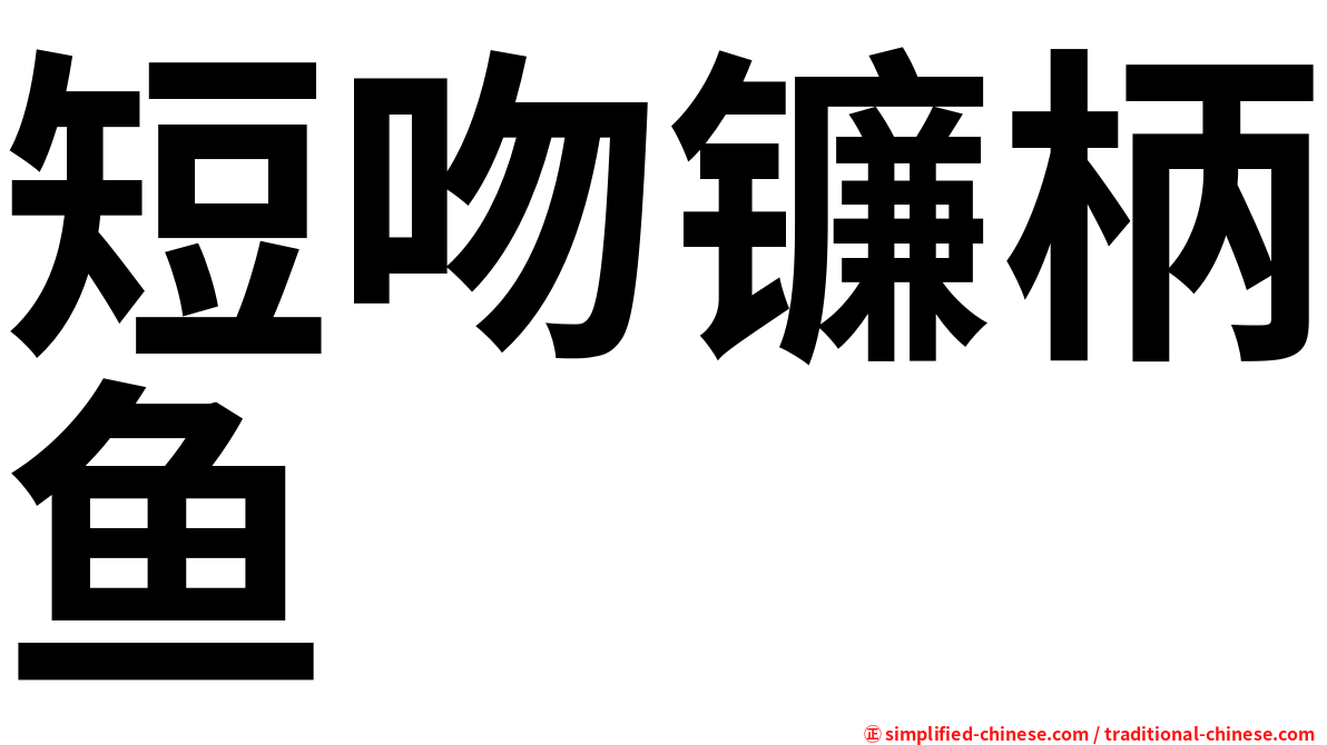 短吻镰柄鱼