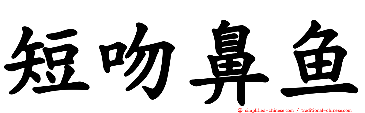 短吻鼻鱼