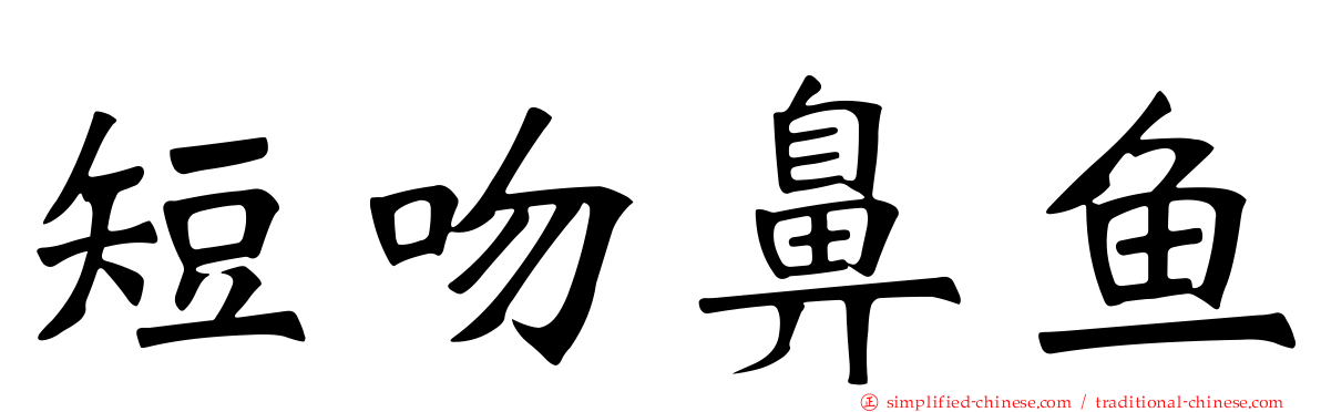 短吻鼻鱼