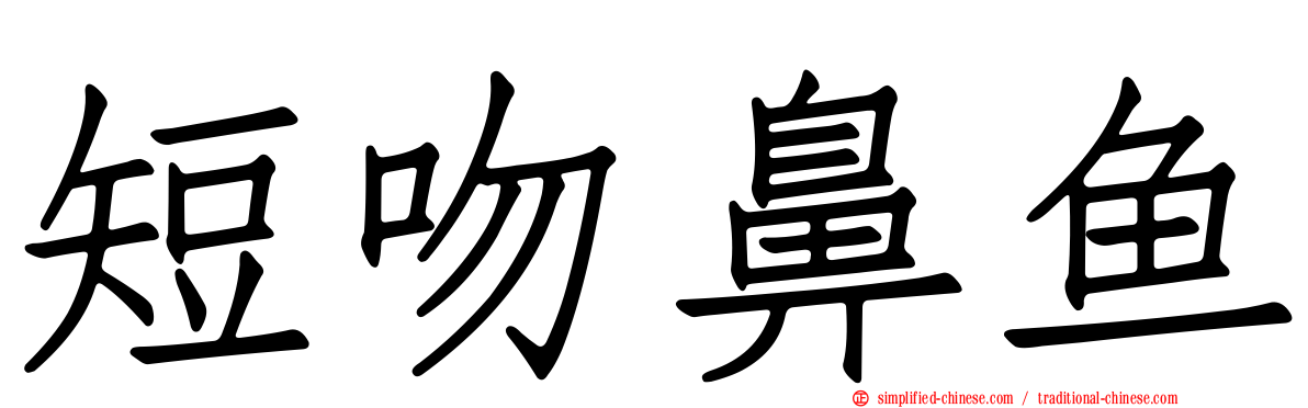 短吻鼻鱼