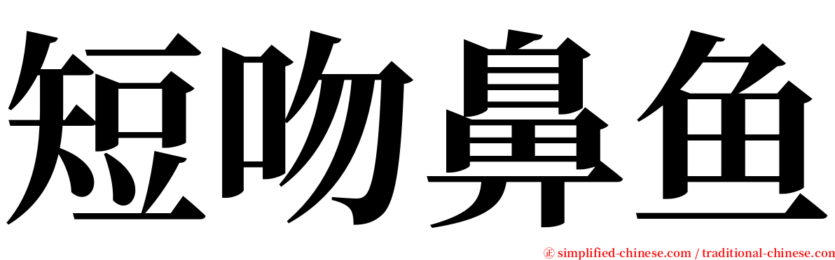 短吻鼻鱼 serif font