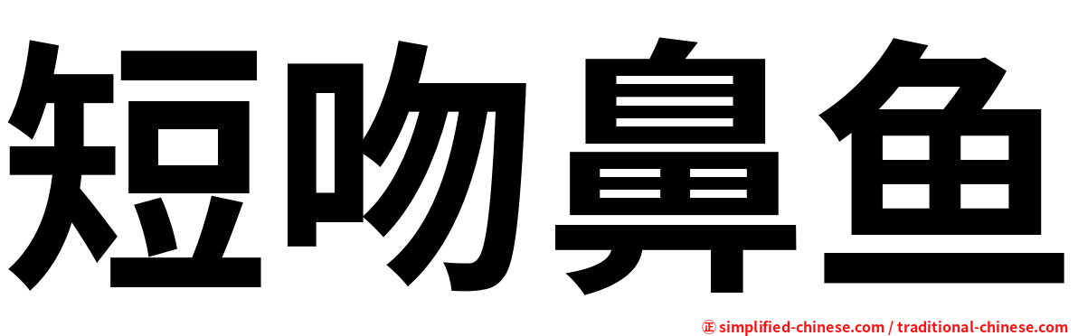 短吻鼻鱼