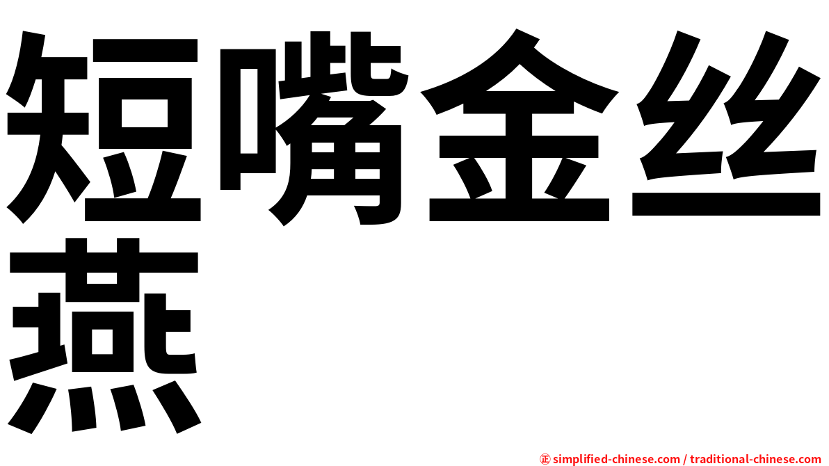 短嘴金丝燕