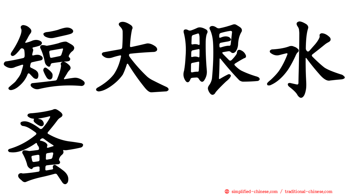 短大眼水蚤