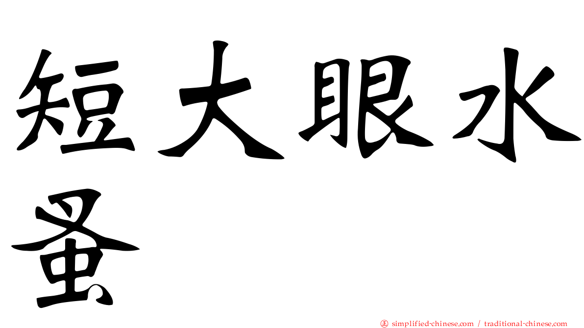 短大眼水蚤