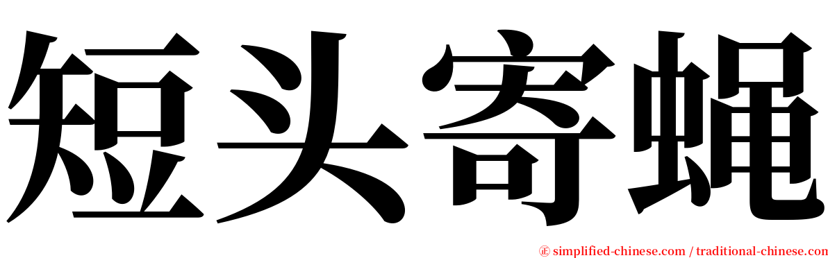 短头寄蝇 serif font