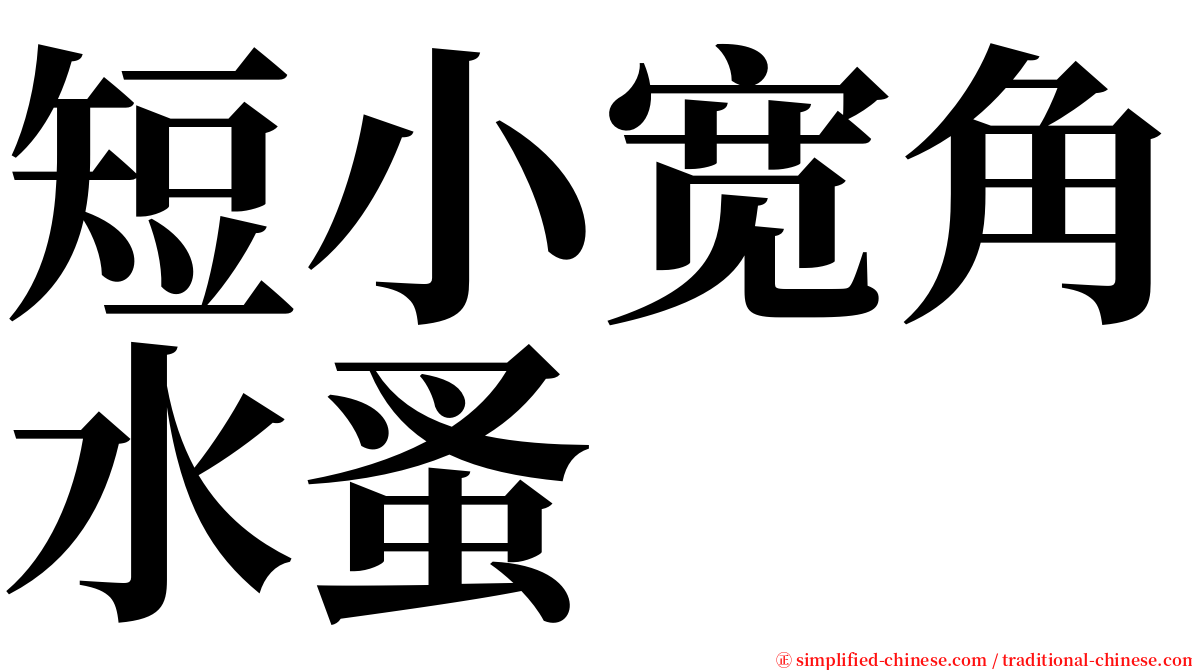 短小宽角水蚤 serif font