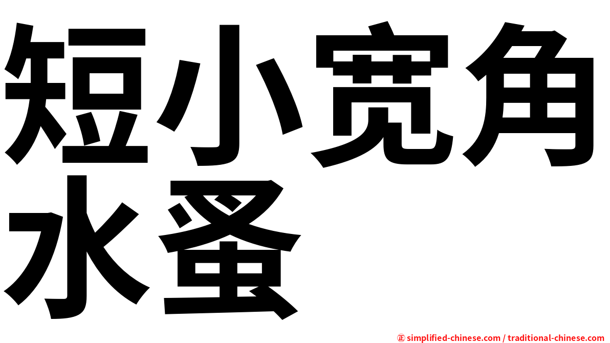 短小宽角水蚤