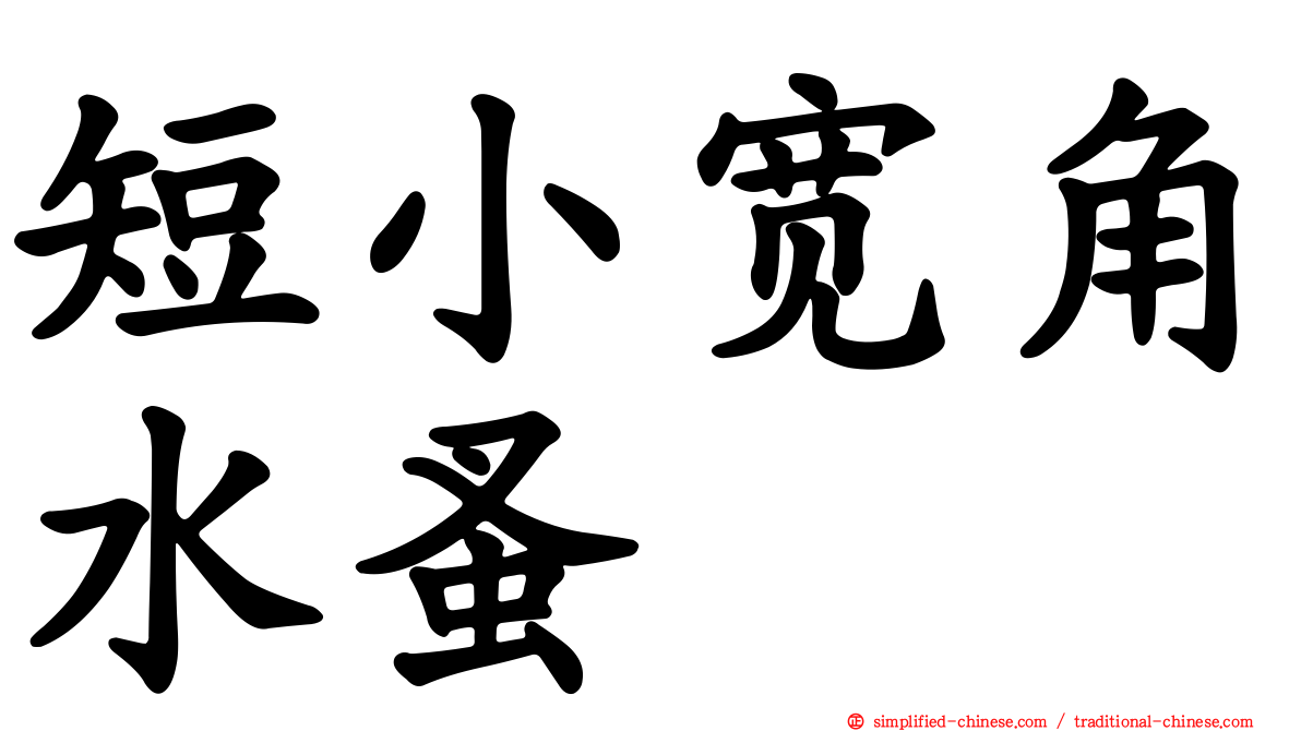 短小宽角水蚤