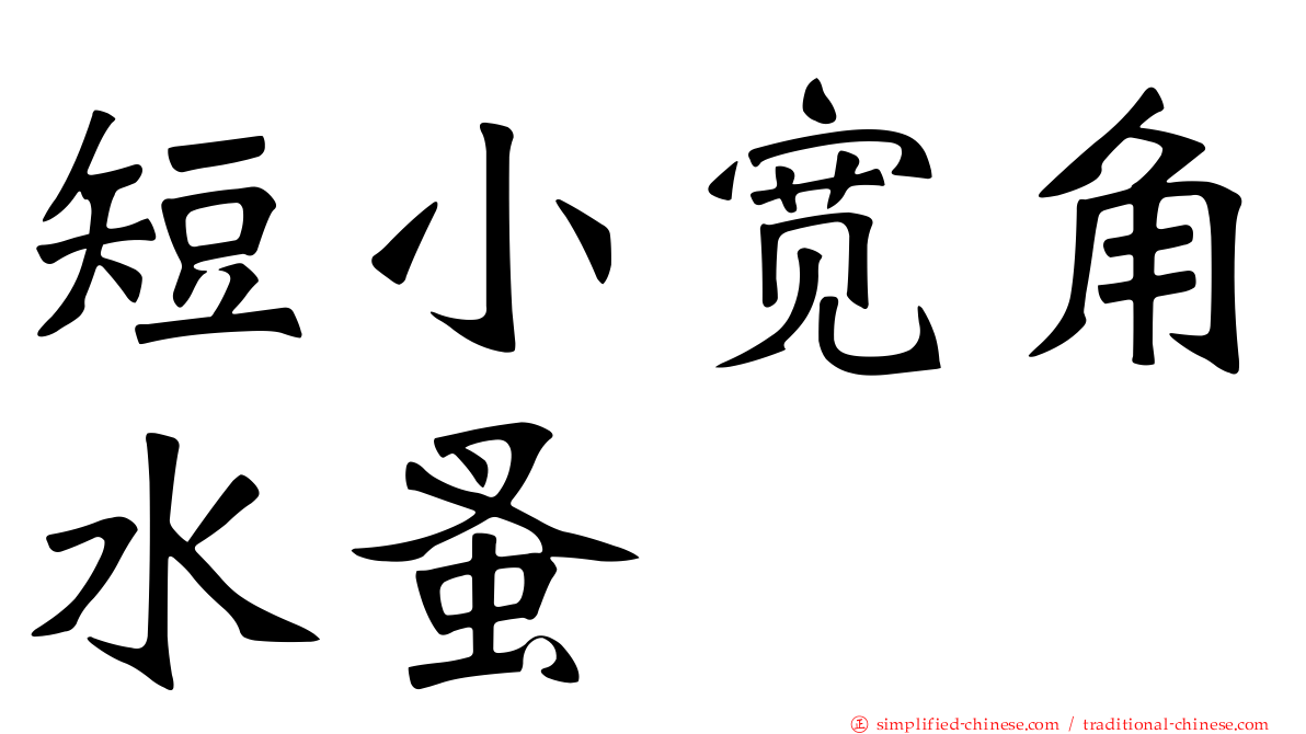 短小宽角水蚤