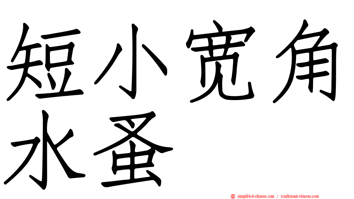 短小宽角水蚤