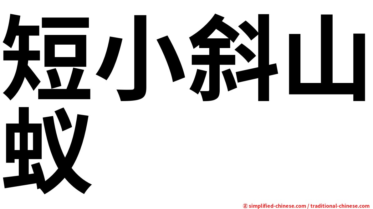 短小斜山蚁