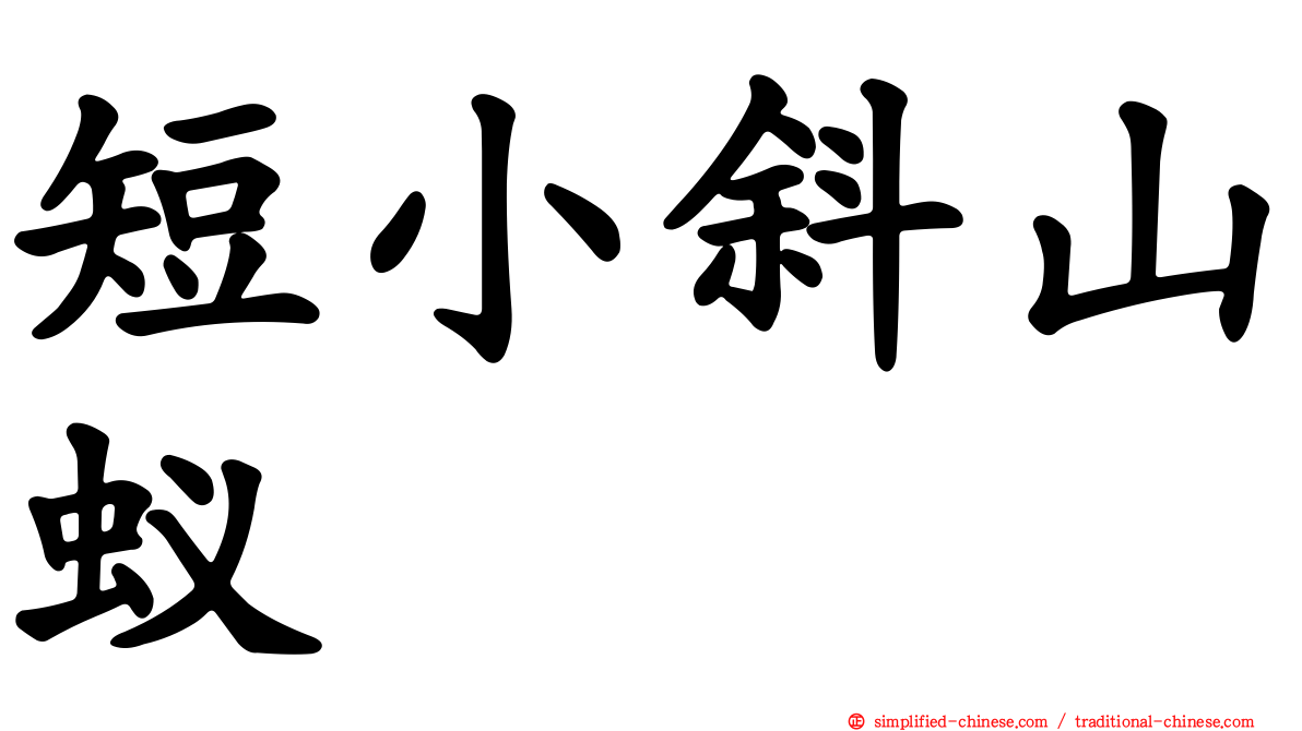 短小斜山蚁