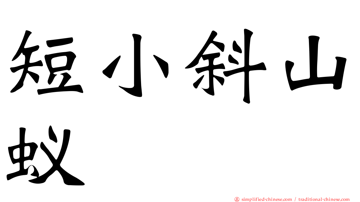 短小斜山蚁