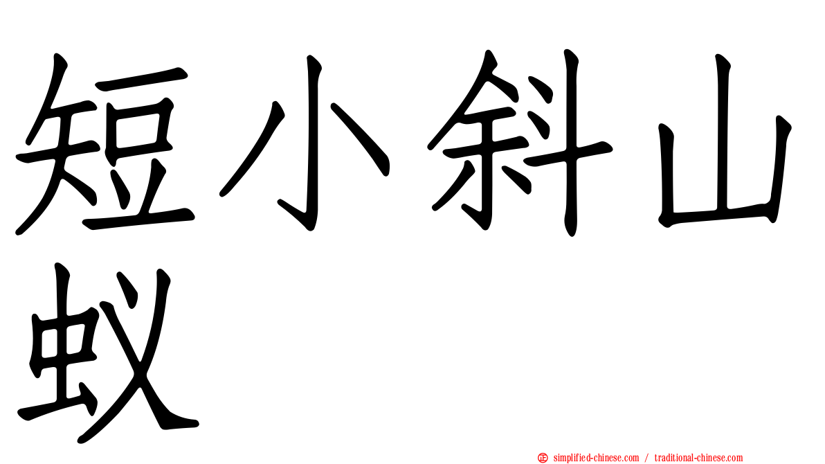短小斜山蚁